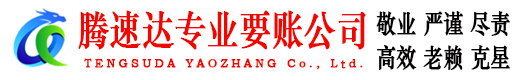 龙海收债公司